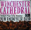 New Vaudeville Band - Single: Winchester Cathedral - 1966 - mge-shop